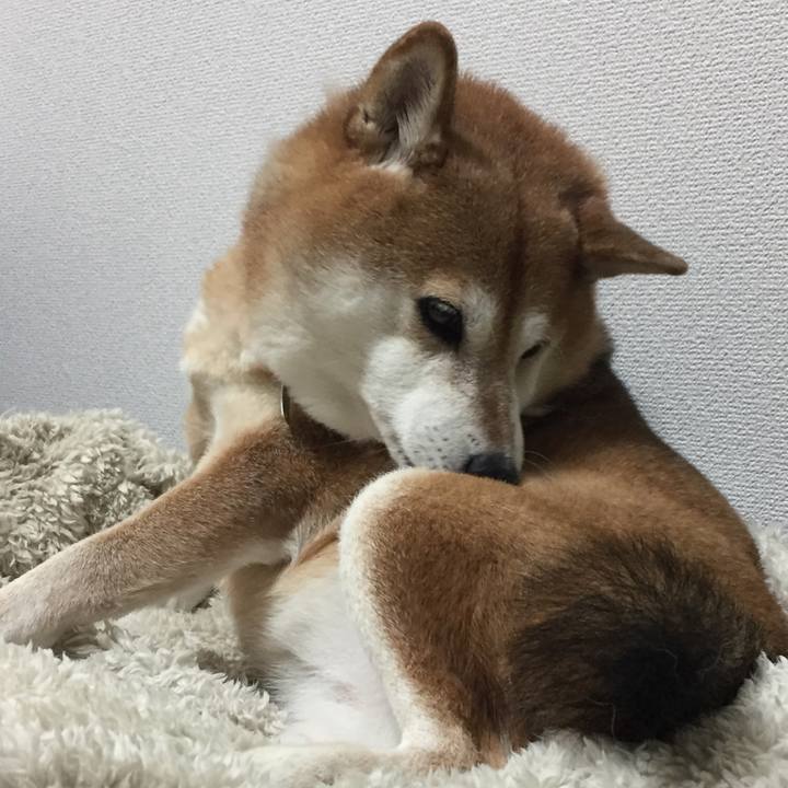 Cf5ec33d 1238 4848 8864 1f10b078e8a2