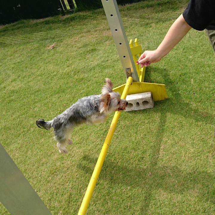 Cf5f3045 f7a2 4dc3 828a 9b5d04c1157e