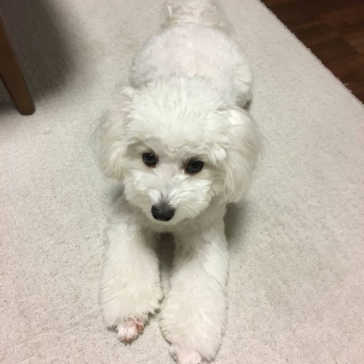 Cf5f3c54 2ae4 49e8 8a84 1a8caed90f32