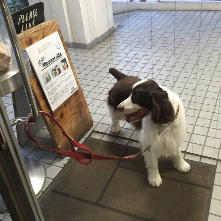 Cf6005f3 8301 40c2 a89b f45dbec704c3