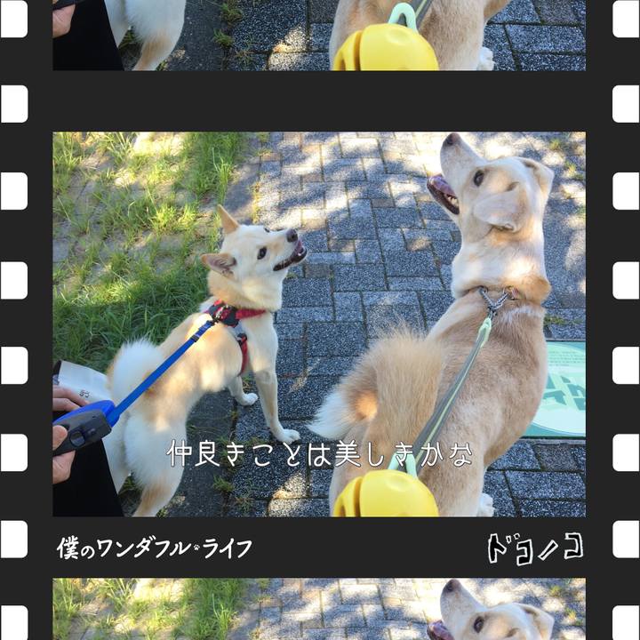 Cf6024d4 614d 40ec b98d effef01c7567