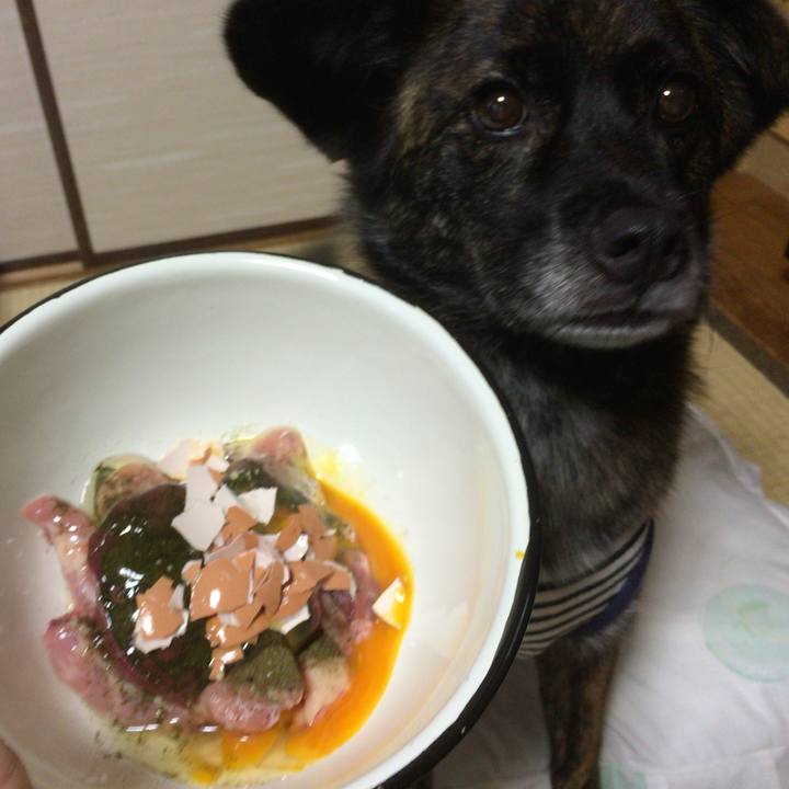 Cf60b084 c064 4950 b83e e33ffe522841