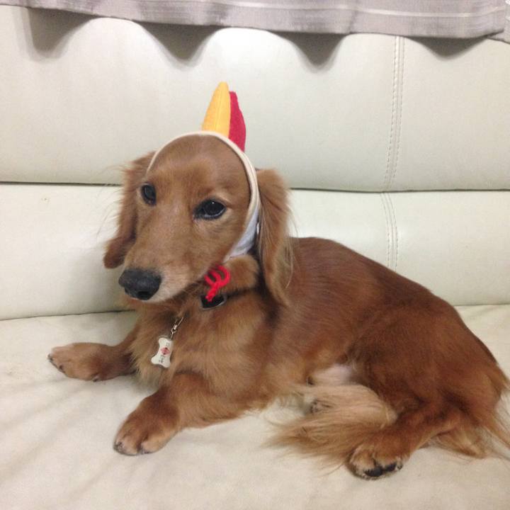 Cf61404b 0b61 4300 befe ed525bb9f224