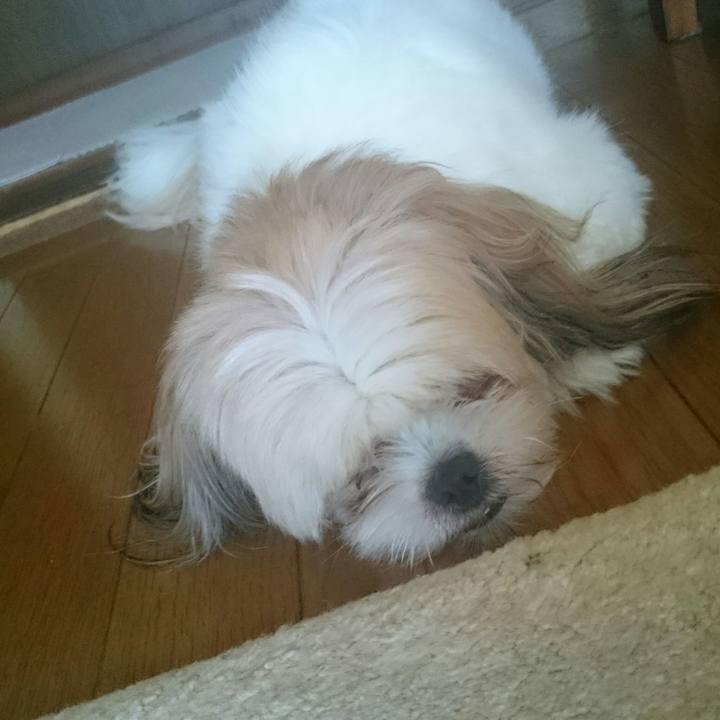 Cf6147ae cc89 473d a111 5808888b17a4