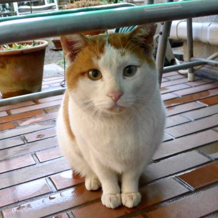 Cf615287 7dbd 4ce3 b15d 2e1d019fde19