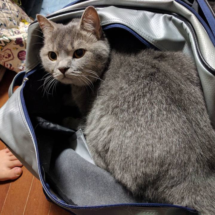 Cf61a766 c1c4 4cd8 a134 c5fa541327ae