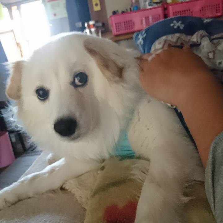 Cf620b0f 3de0 425a 9a6a 54eefce71624