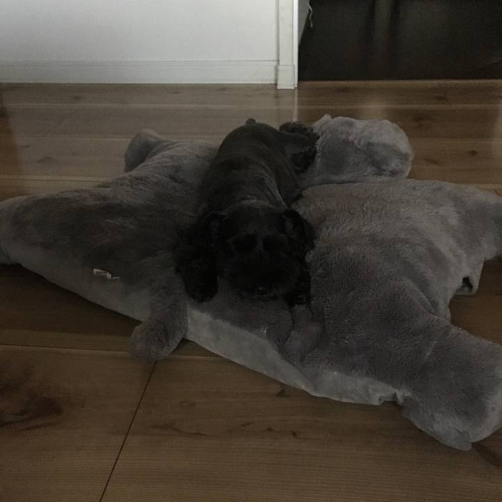 Cf621143 b042 46f0 8677 a39305aa75cc