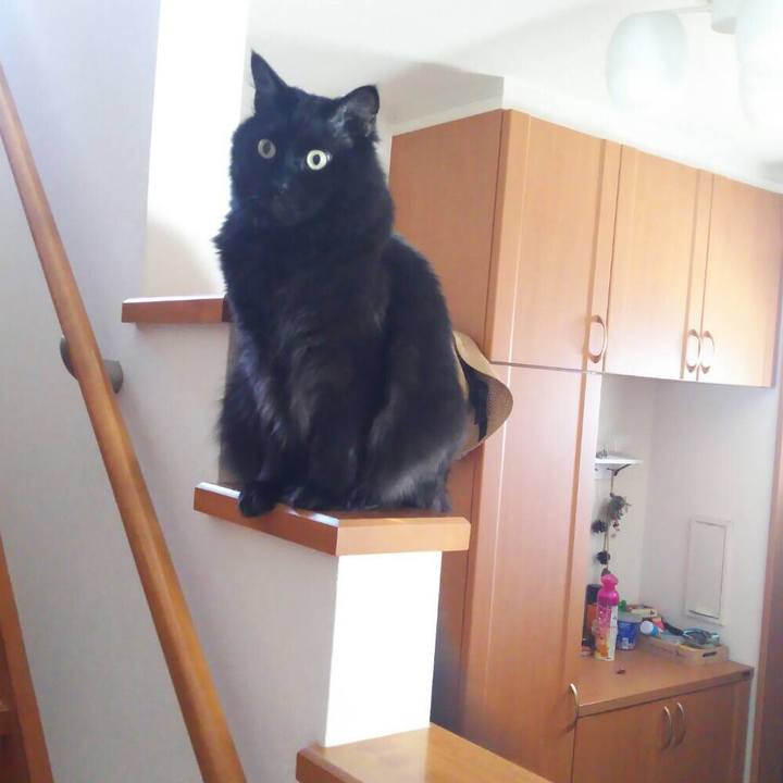 Cf627643 3eb8 437b 9e8d 8fc36cf2116e