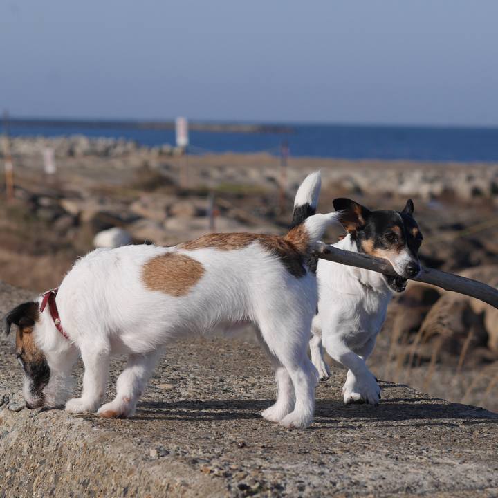 Cf628707 d68b 4b17 af29 1b5567b79fcb