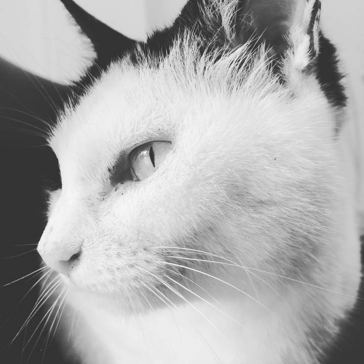 Cf629676 9553 4470 963c a9850d009b3b