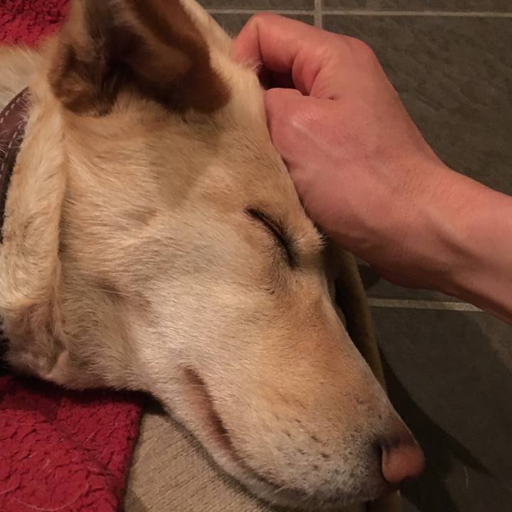 Cf6368c5 1768 4089 8a77 dbce2e47e37c