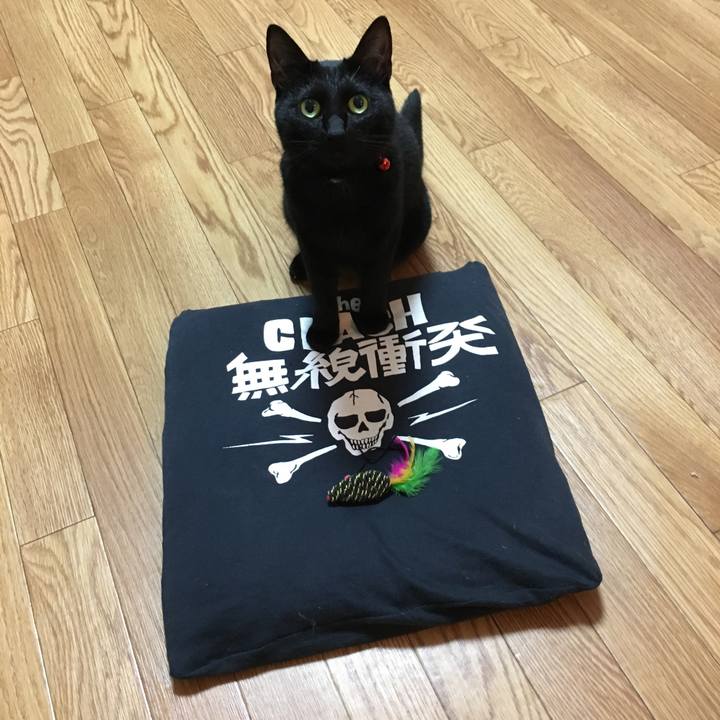 Cf641306 4d41 4f33 abe5 a6137d73ee96