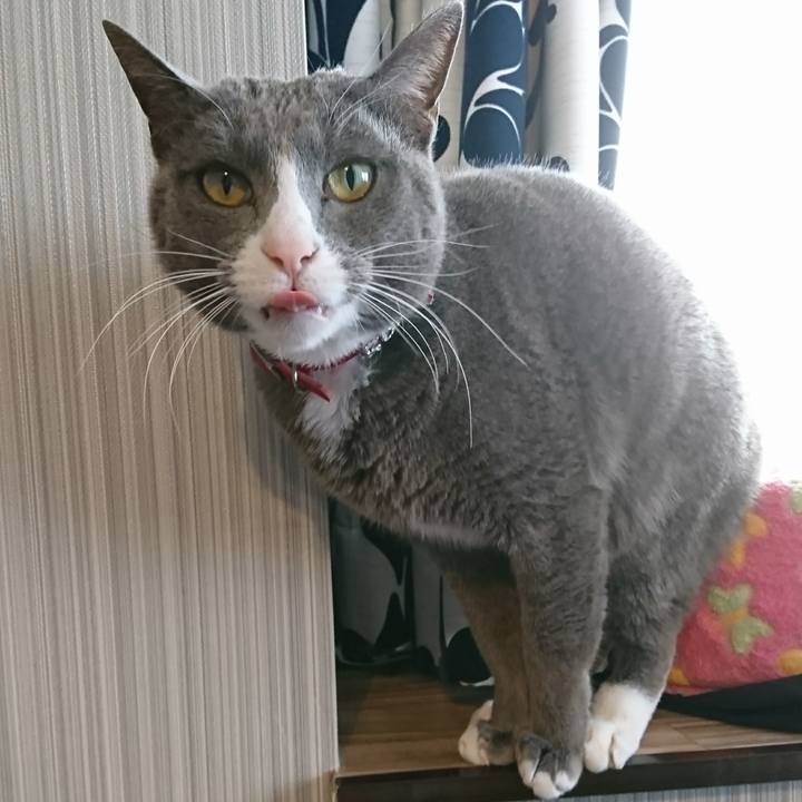 Cf641d87 363a 42cd 8659 8f7df06d9689