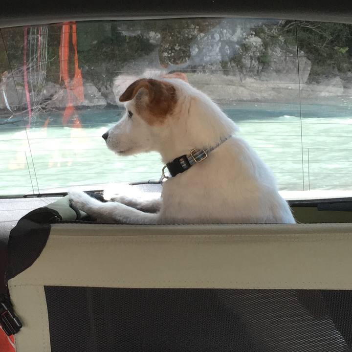 Cf645446 8724 4a8a adba ead5822b00f4