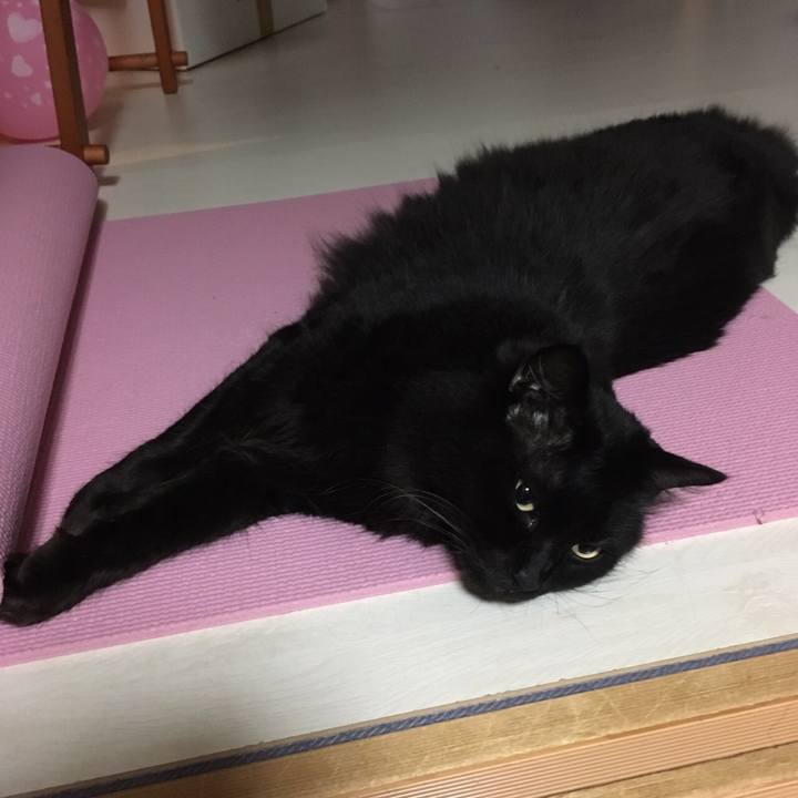 Cf645eaf d097 4f4c b0b5 e6415a07402b