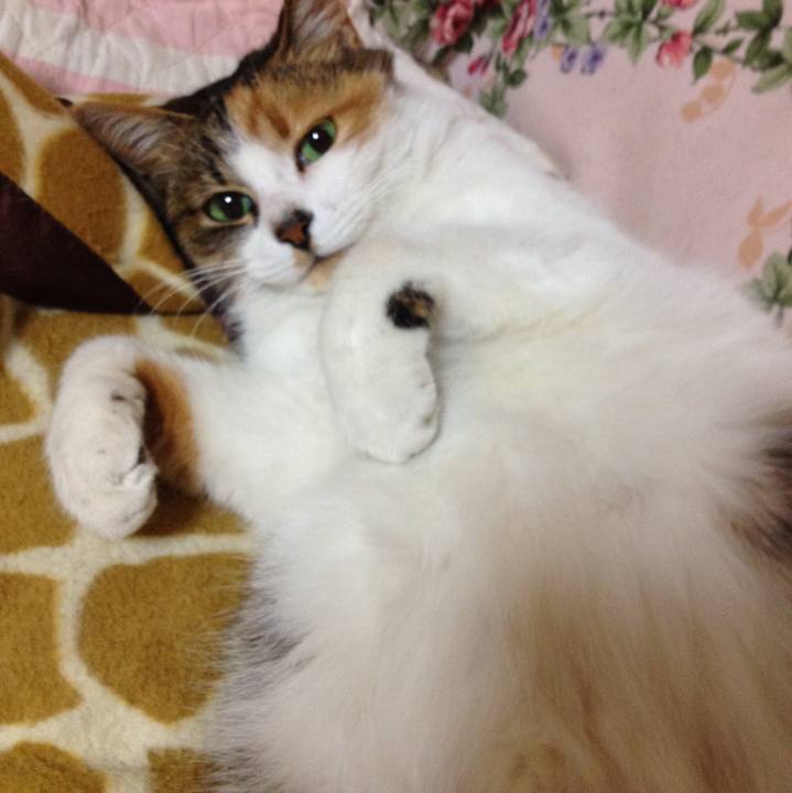 Cf6460f0 b326 4ab4 b767 7b873c1348d3