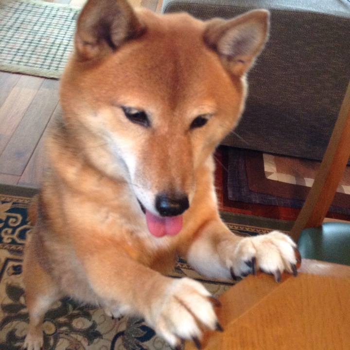 Cf646de0 e425 4545 9f59 3d454a5b5a2c