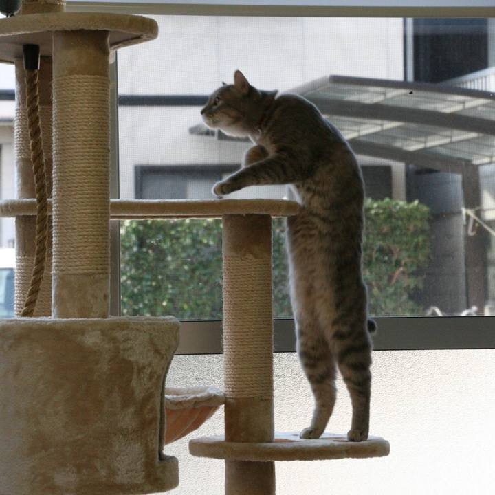 Cf651269 992f 480d a20b 9e2be9cbe05f