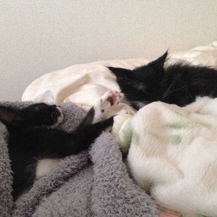 Cf655e54 56e3 4242 921c 1f33f3c95049