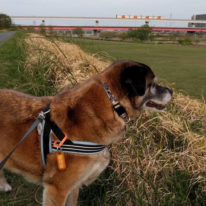 Cf656264 c3de 4e82 87f0 73b8e31360c1