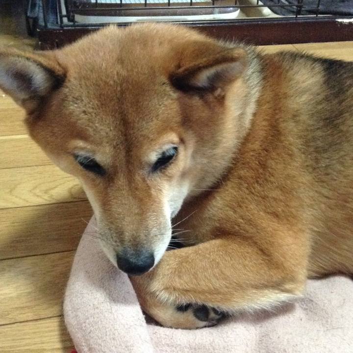 Cf658015 a97d 42d9 a991 b2af9512ac4f