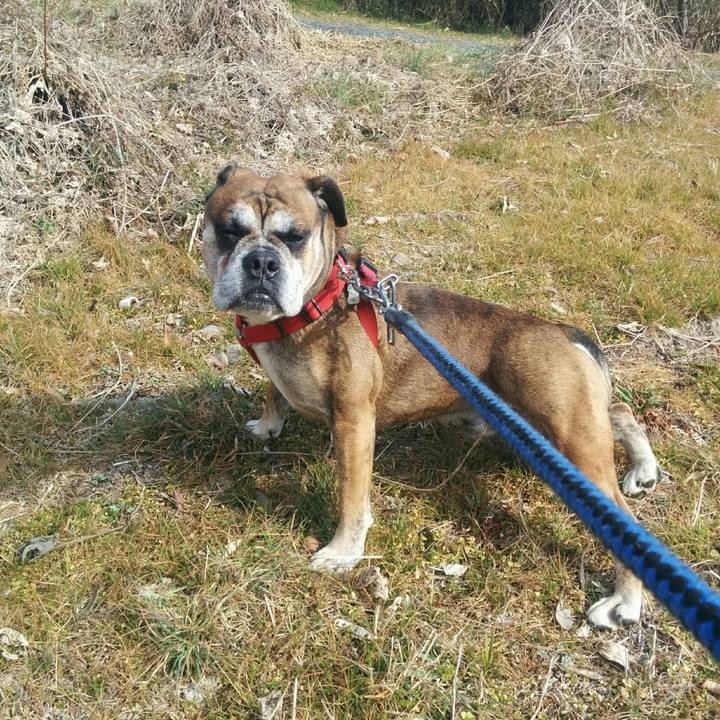 Cf65d149 82e2 4f0c ba1c 5eb3dd582469