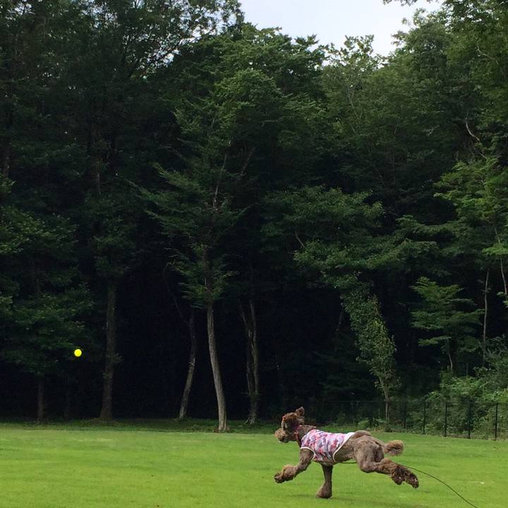 Cf664d0d 8f0b 4a77 985d 077c2c9f7c92