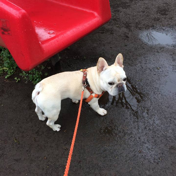 Cf66687e 5a3f 4c0d a62b fc8d266106ec