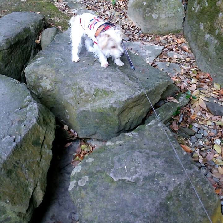 Cf66a8ea 0d37 4cb0 998a b54f2ce13384