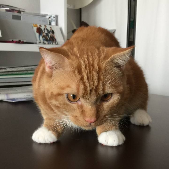 Cf670bb4 2ced 48a3 b63f 95c1cf87b1bd