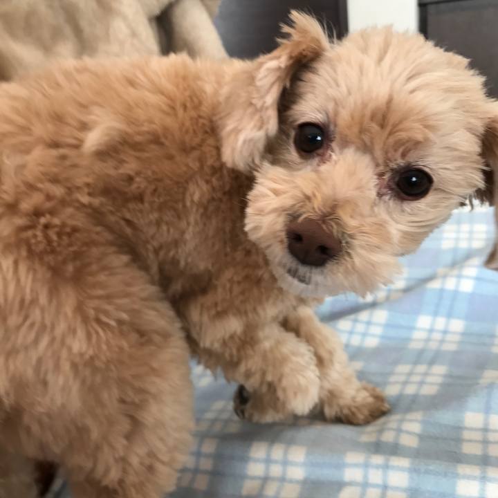 Cf672ecf 51a7 4baa a9fc a3fdf175892b