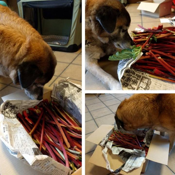 Cf674848 14ba 471e baa2 066d8ce9c89a