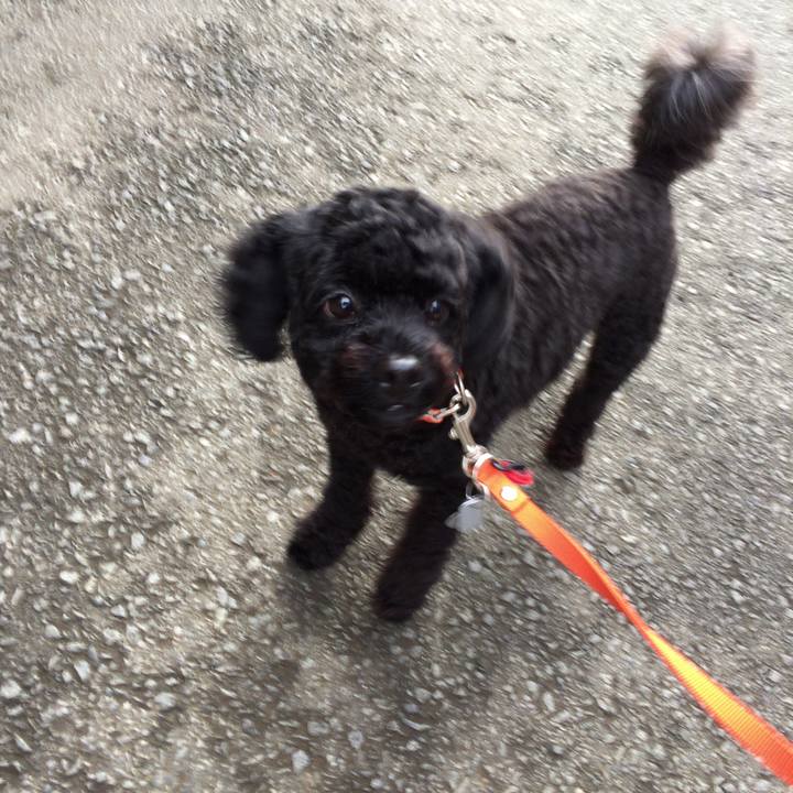 Cf677063 8bfd 4775 accb 8d092fef3f31