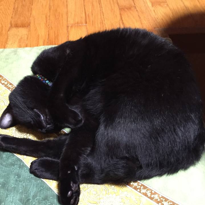 Cf67abfc 4861 40b8 bf3d b783cae8de60