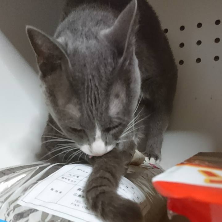 Cf68dbe2 a6a6 402f 8e03 594c515fb834