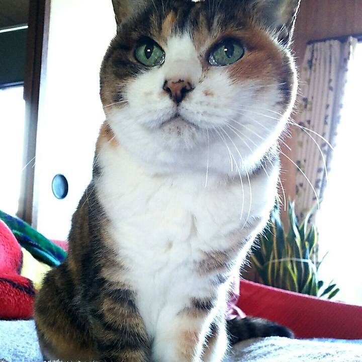 Cf69e2f3 4694 400b b874 dbaddd902236