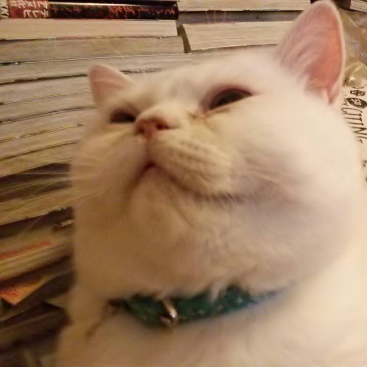 Cf6a72f1 cf09 44eb 95af b4cc15a5b719