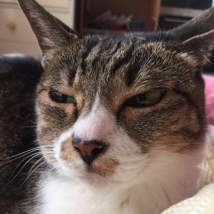 Cf6abf18 f655 437b ba4e 2e9231ca426c