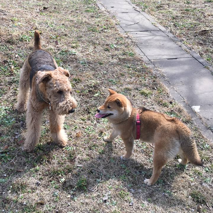 Cf6bbf0b 367e 405f 9cd1 cac100c1f3fc