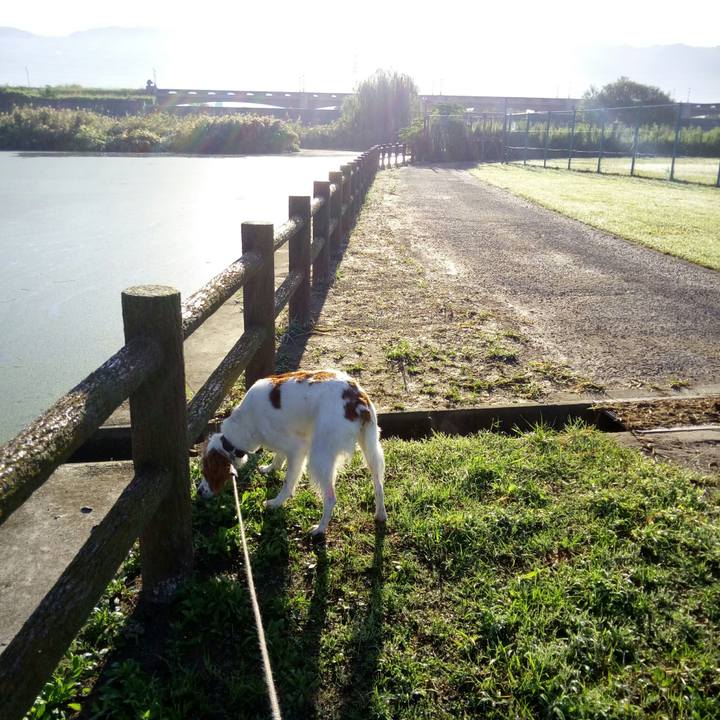 Cf6ca4c1 0d7f 4b97 9820 bbbc8bced7ae