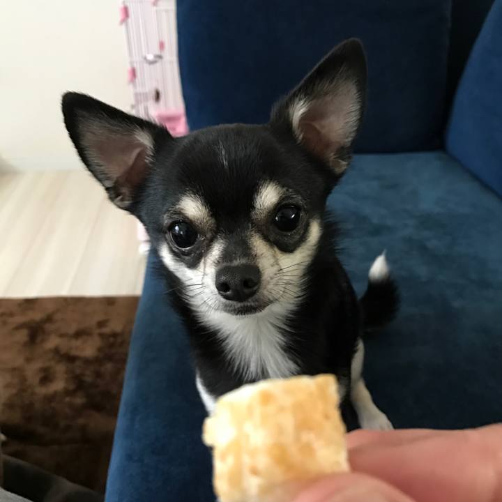 Cf6d0632 9e3e 40cb ac8f 4e099879f1b8