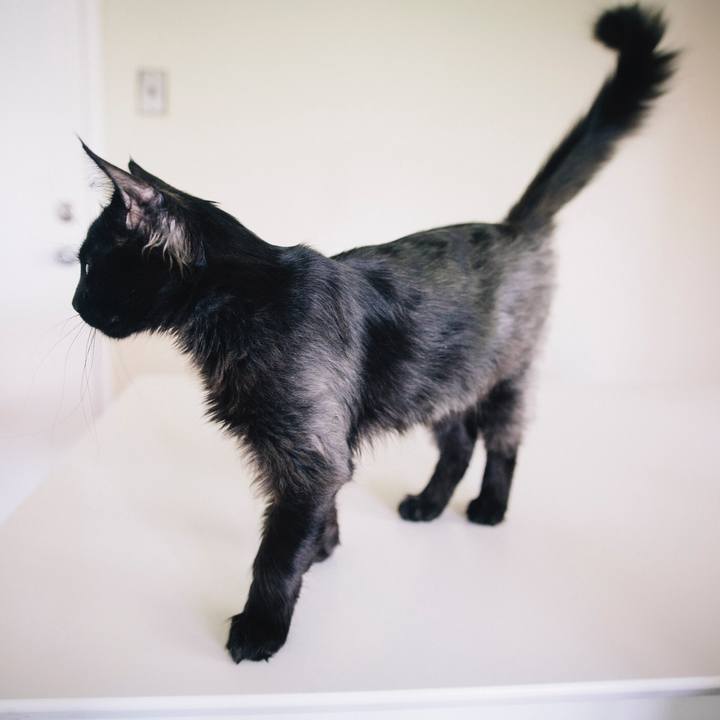 Cf6d2522 c56a 4d09 be34 61efe2046bdf