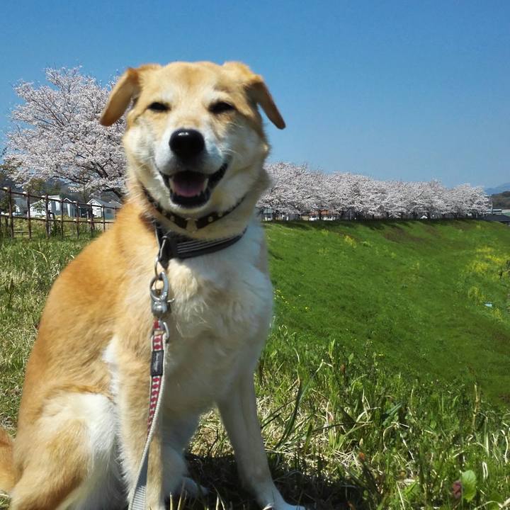 Cf6d42a8 4a40 4007 a031 2ab84a3f0abc