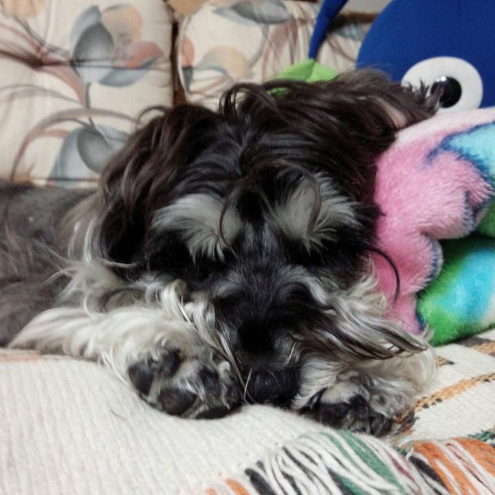 Cf6d5a11 7ecf 4e3a 8756 68cb083418e5