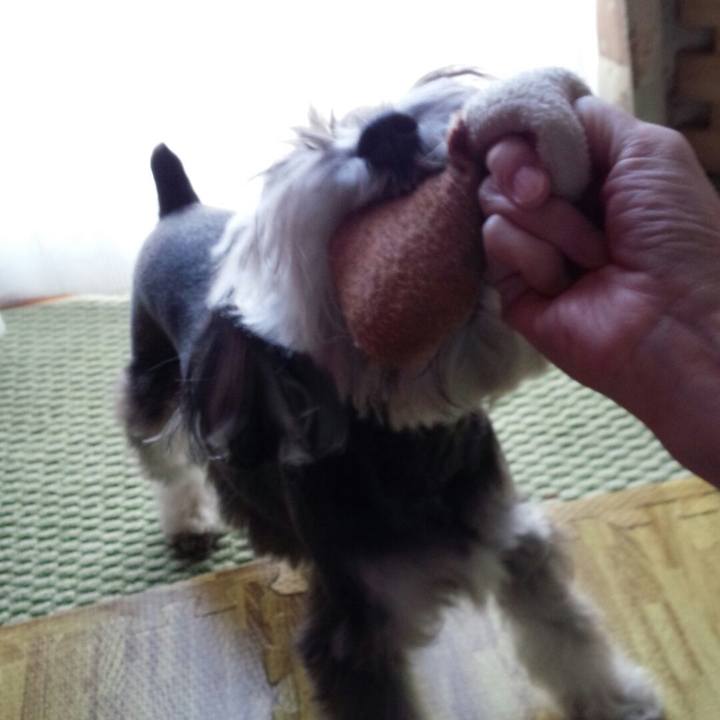 Cf6da743 d63c 4d75 a40f f493e67bb7c2