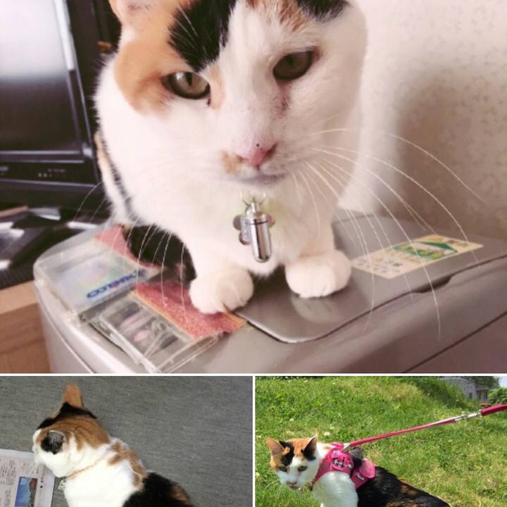 Cf6de506 fdc4 48ee 9be3 92449adc2a27