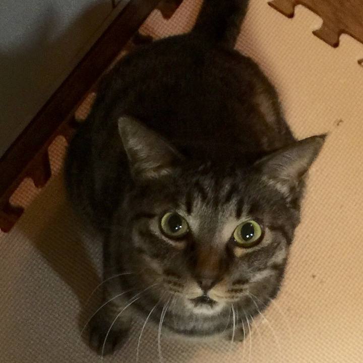 Cf6e0e59 03c9 47e5 8cf4 6affb4f412d2