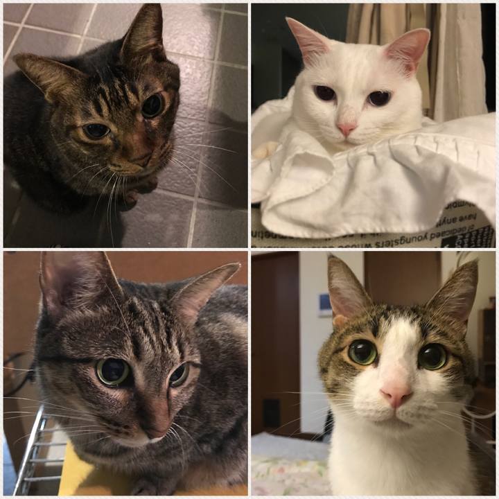 Cf6e7349 f764 46ca b2b4 2317c5b537e9