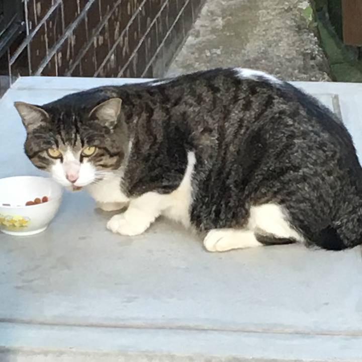 Cf6ebb59 2c80 4a42 a700 22e6ea818721